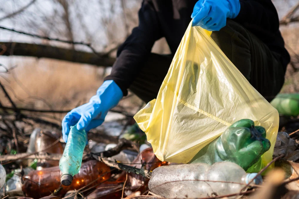 Intervento di bonifica e pulizia terreni da piante infestanti e rifiuti in Sicilia per ottemperare a ordinanze comunali | 91026 Project & Building